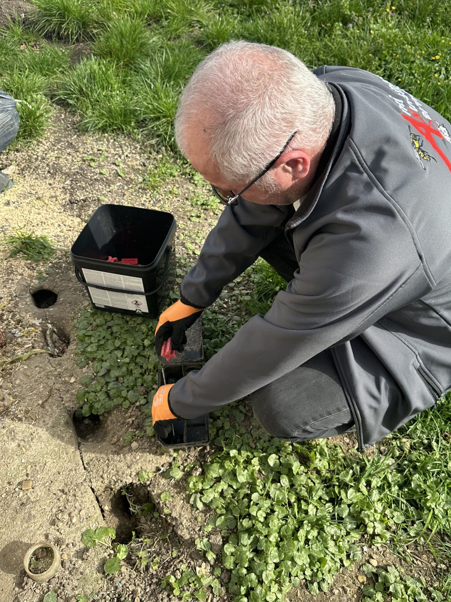Technicien en intervention de dératisation